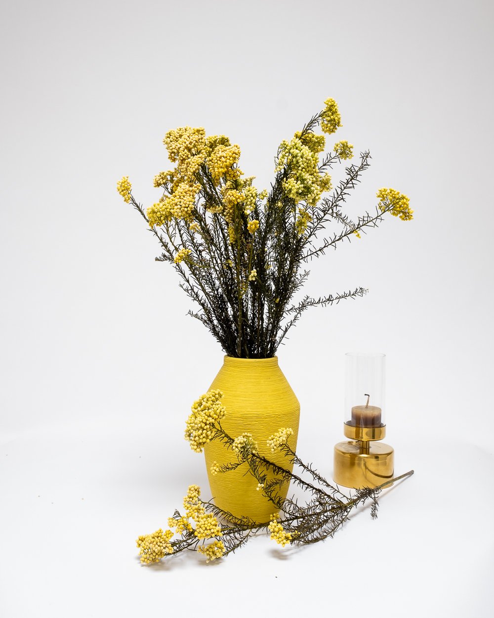 Diosmi Gul – Konserverade Blommor, Flora Grossist, torkade-blommor