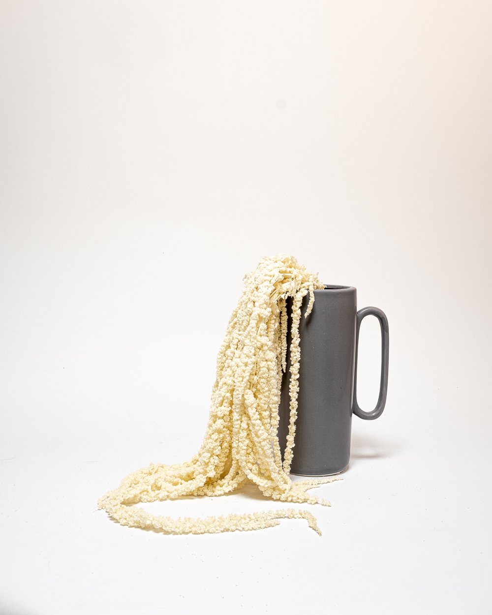 Amaranthus – Blekt Vit – Evighetsväxter, Flora Grossist, konserverade-blommor