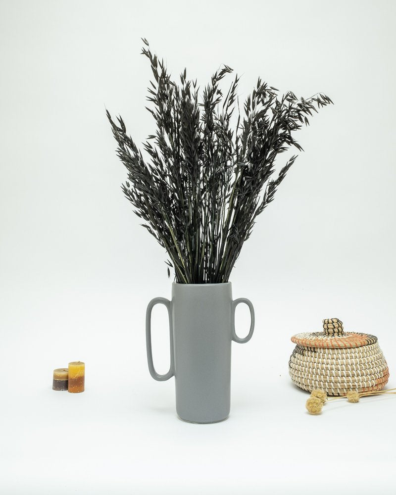 Havre Svart – Torkade Blommor, Flora Grossist, torkade-blommor