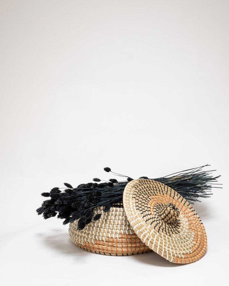 Phalaris Svart – Torkade Blommor, Flora Grossist, torkade-blommor