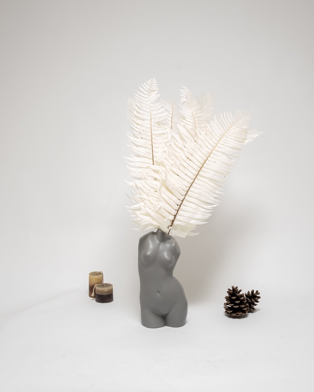 Ormbunke Blekt Vit – Konserverade Växter, Flora Grossist, torkade-blommor