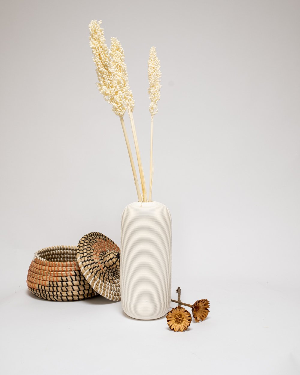 Indian Corn Blekt Vit – Torkade Blommor, Flora Grossist, torkade-blommor