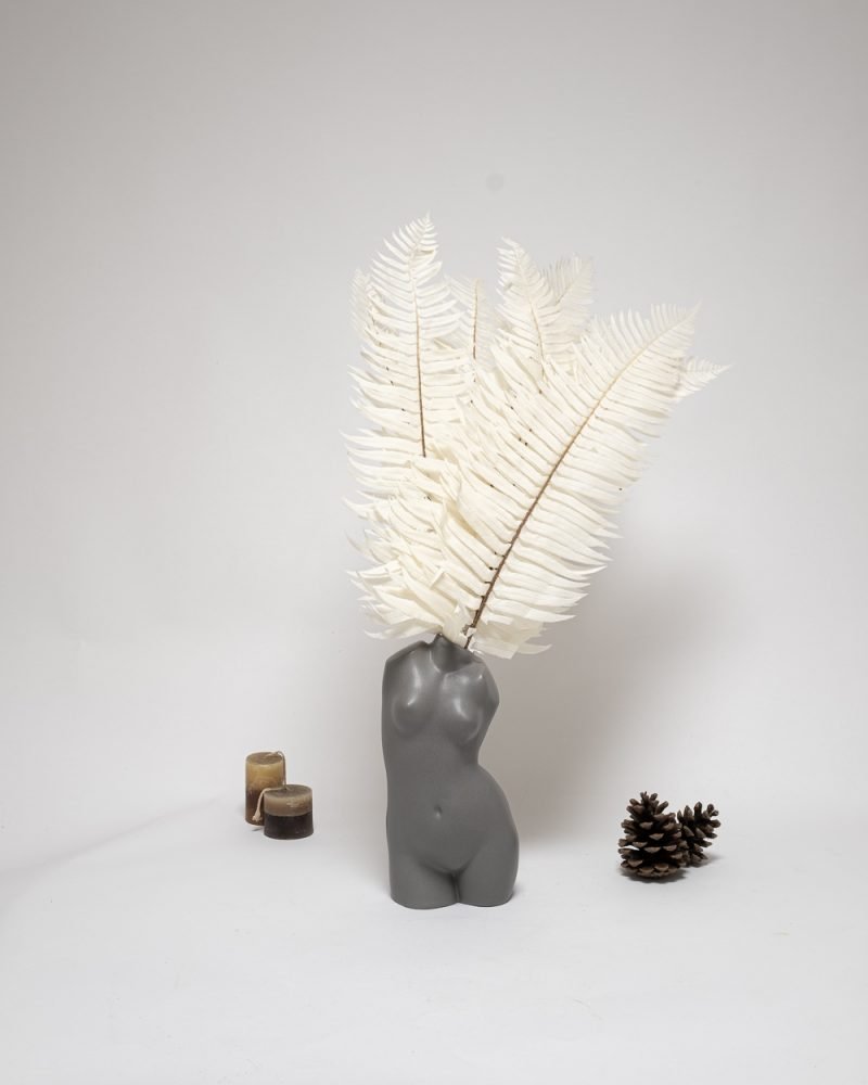 Ormbunke Blekt Vit – Konserverade Växter, Flora Grossist, torkade-blommor