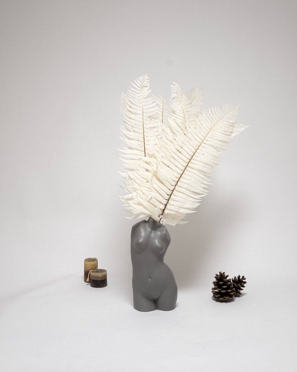 Ormbunke Blekt Vit – Konserverade Växter, Flora Grossist, torkade-blommor