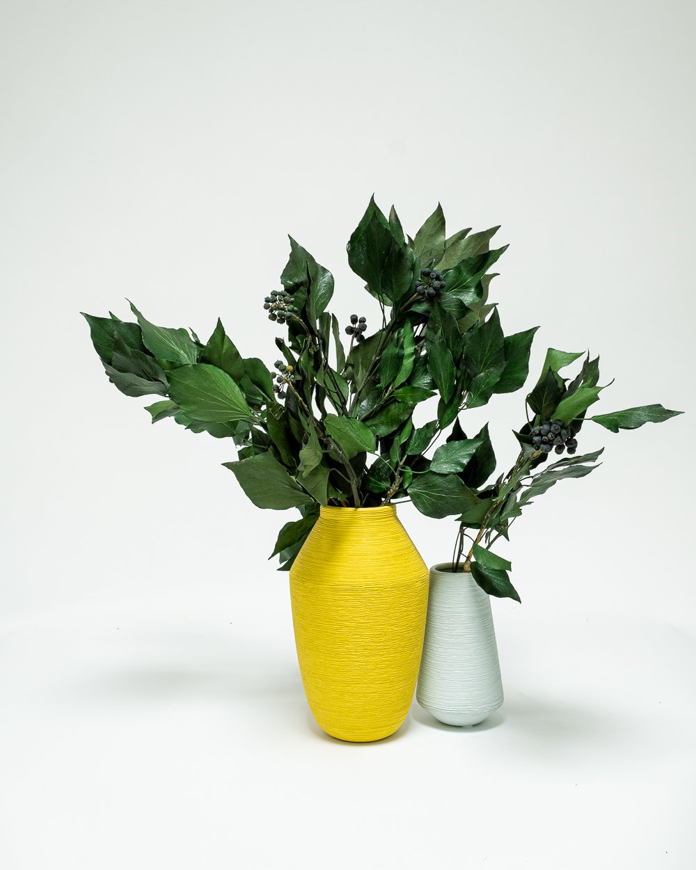 Murreva Frukt – Ivy – Konserverade Växter, Flora Grossist, konserverade-blommor