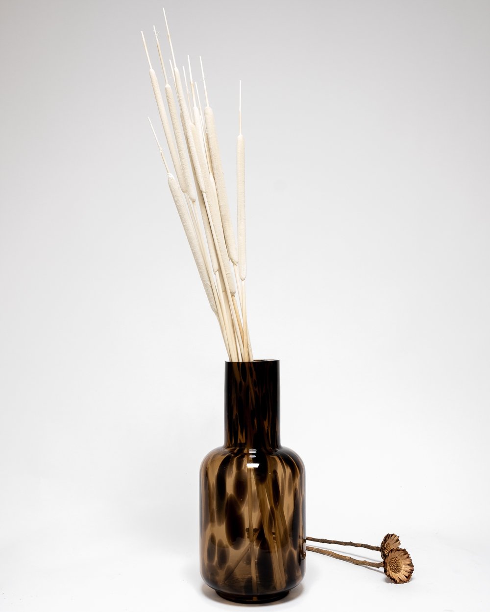 Bredkaveldun Blekt Vit 20 St.- Torkade Blommor, Flora Grossist, torkade-blommor