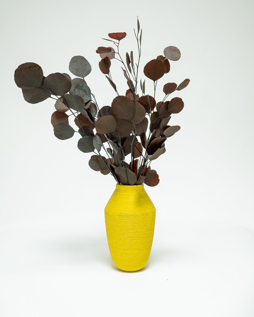 Eucalyptus Populus Röd – Konserverade Växter, Flora Grossist, konserverade-blommor