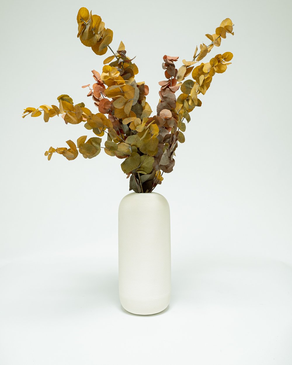 Eucalyptus Stuartiana Höst – Konserverade Växter, Flora Grossist, konserverade-blommor