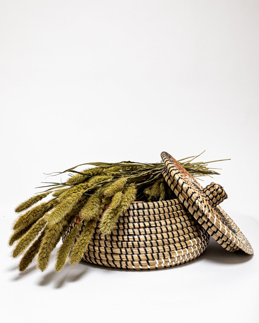 Setaria Naturell – Torkade Blommor, Flora Grossist, torkade-blommor