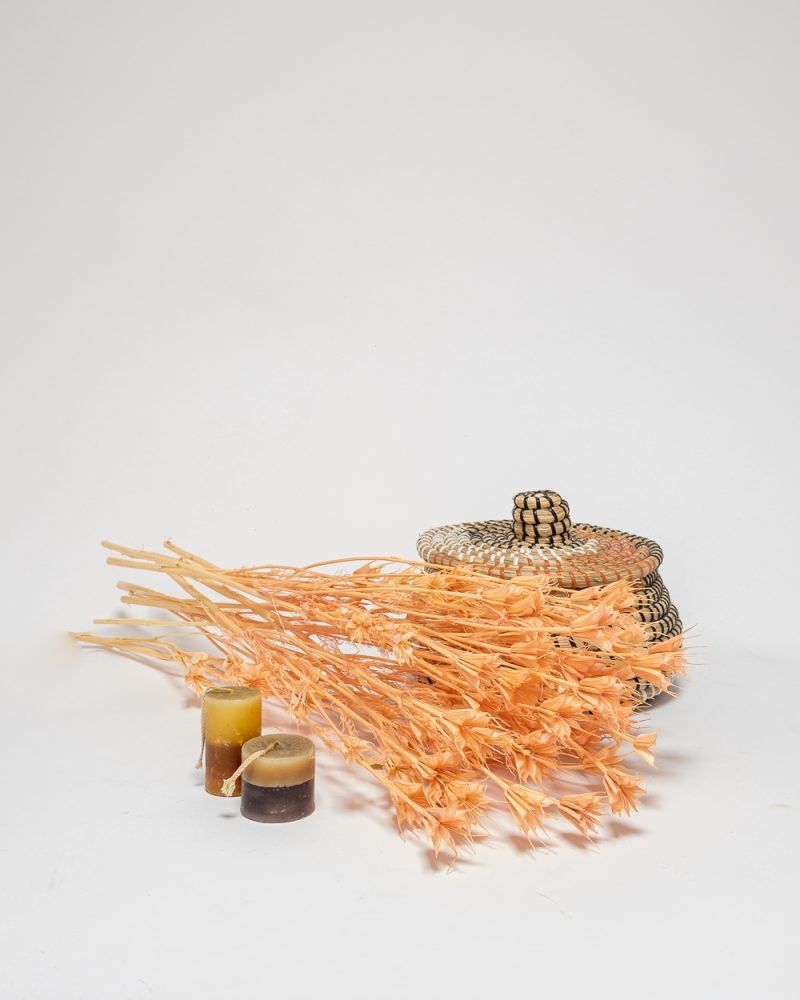 Nigella Orientalis Blekt Rosa – 100 Gram, Flora Grossist, torkade-blommor