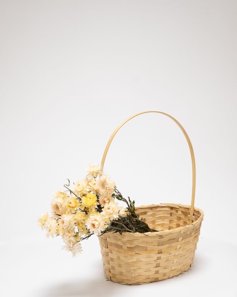 Jätte Eternell Helichrysum Vit – Torkade Blommor, Flora Grossist, torkade-blommor