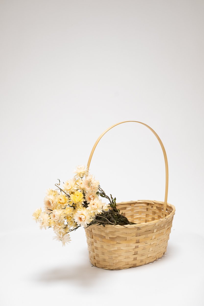 Jätte Eternell Helichrysum Vit – Torkade Blommor, Flora Grossist, torkade-blommor