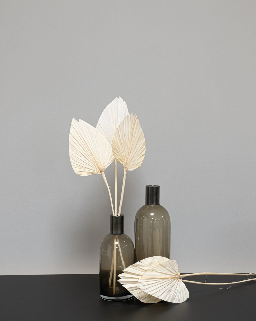 Palm Spear Blekt Vit – 5 St., Flora Grossist, torkade-blommor