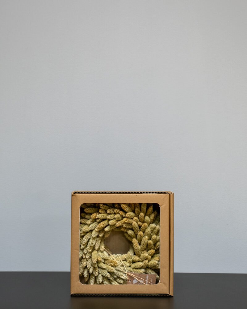 Phalaris Krans Naturell – Torkade Blommor, Flora Grossist, torkade-blommor