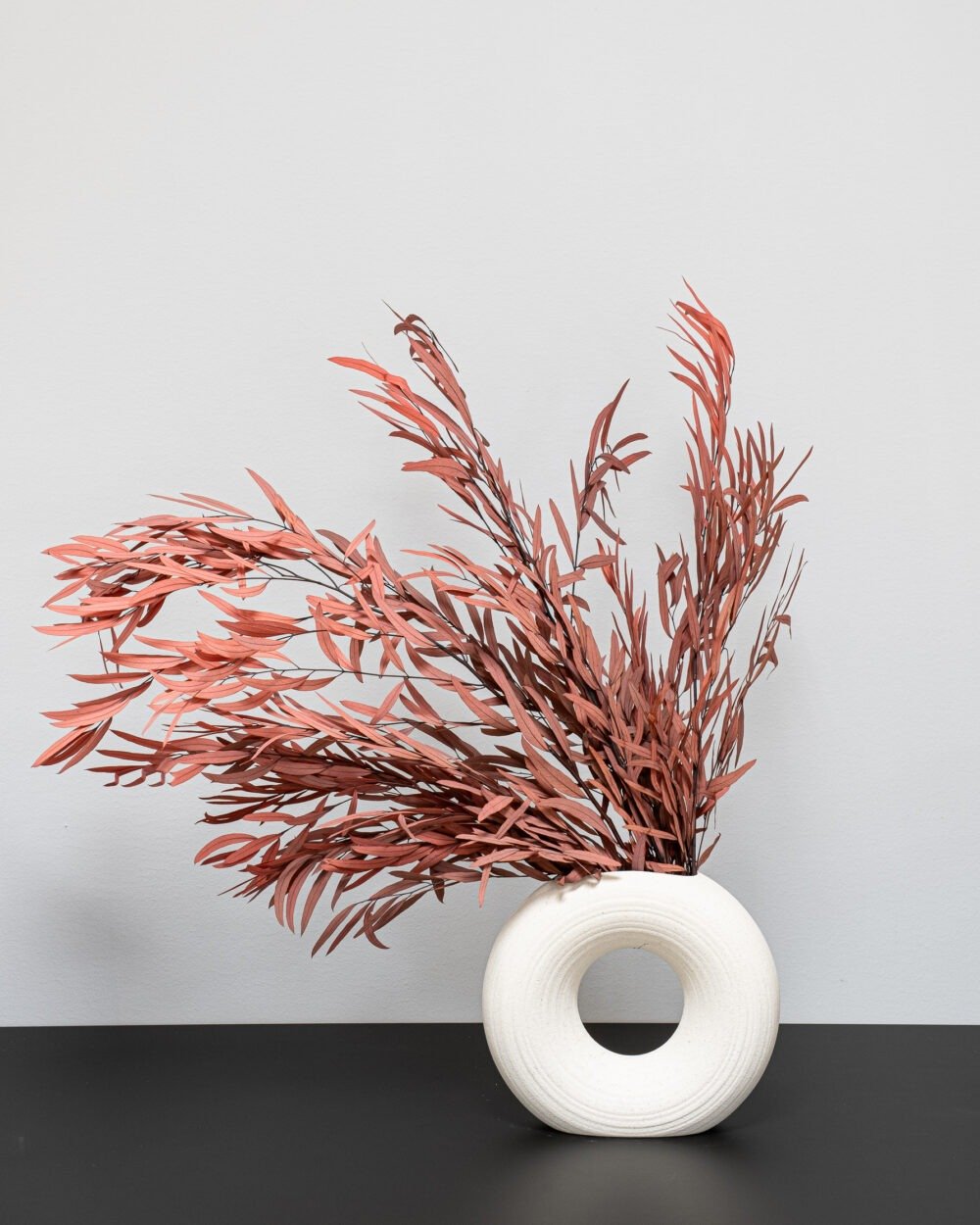 Konserverad Eucalyptus Nicoli – Röd, Flora Grossist, konserverade-blommor