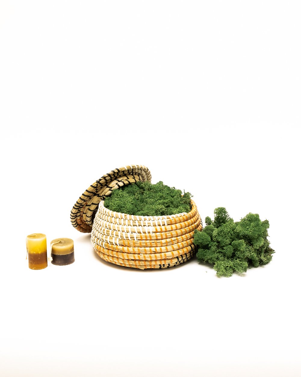 Reindeer Mossa Mörk Grön – Konserverade Mossa, Flora Grossist, konserverade-blommor