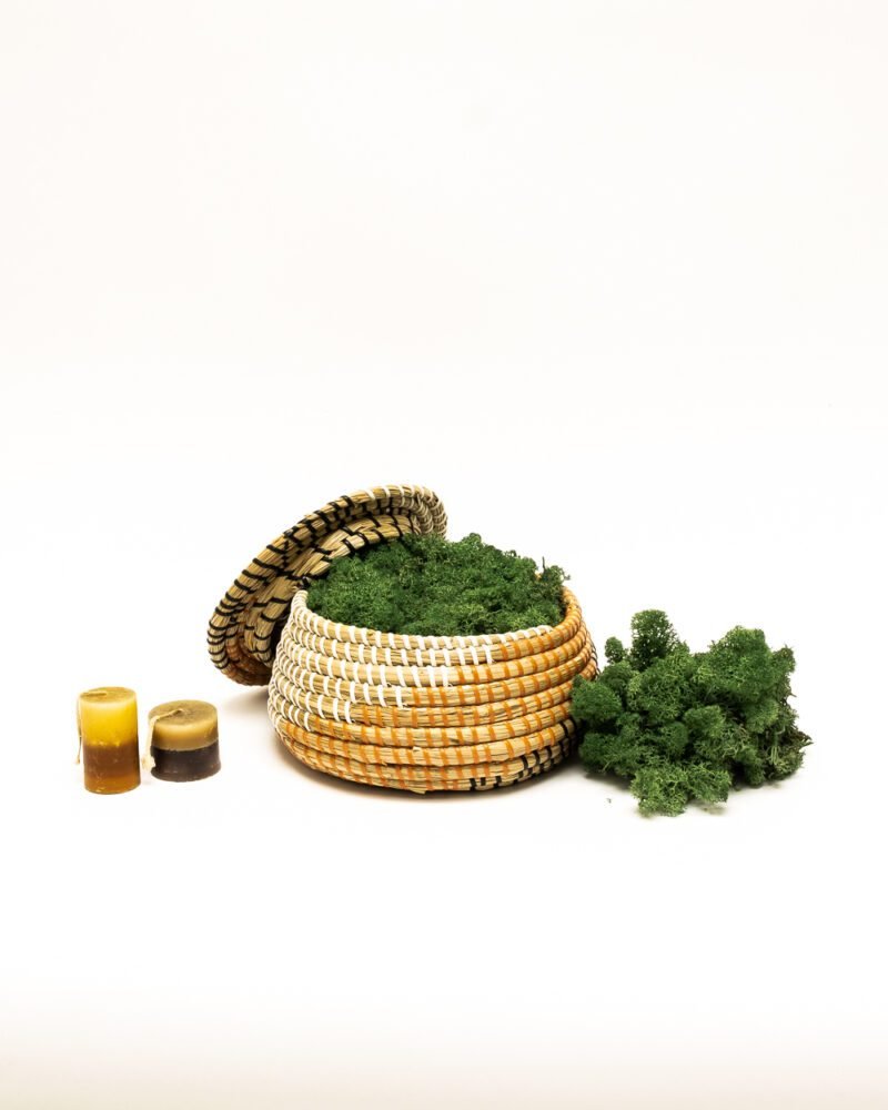 Reindeer Mossa Mörkgrön Bulk 5 Kg – Konserverade Mossa, Flora Grossist, konserverade-blommor