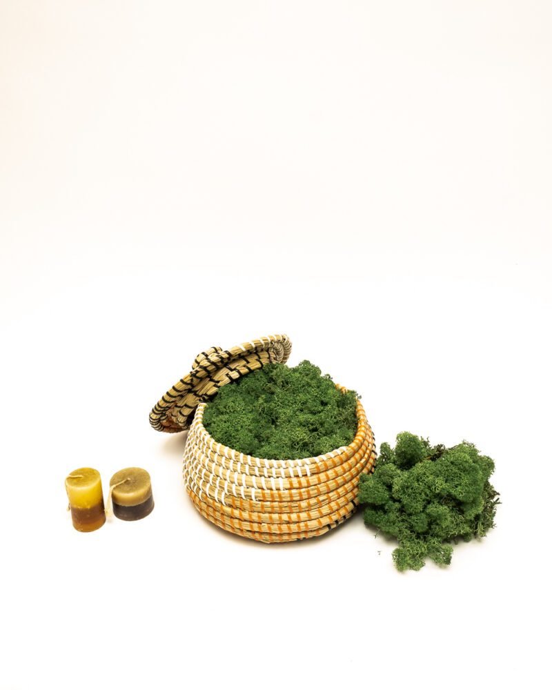 Reindeer Mossa Mörk Grön – Konserverade Mossa, Flora Grossist, konserverade-blommor