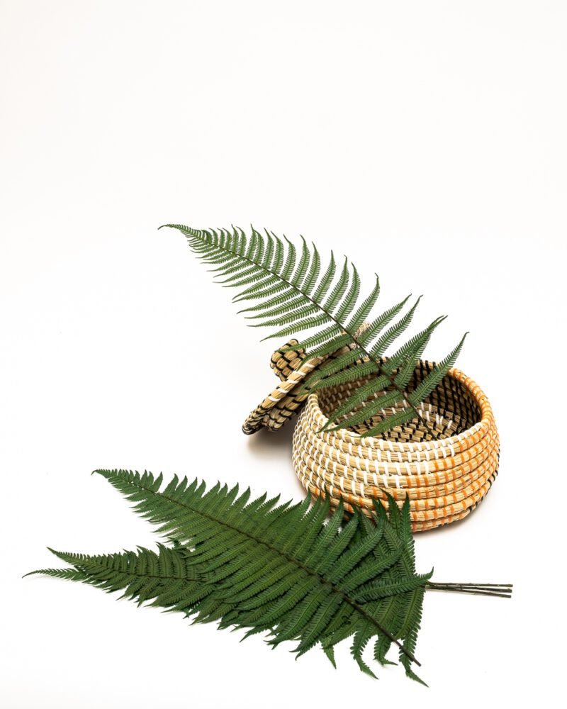 Ormbunke Grön- 5 St., Flora Grossist, konserverade-blommor