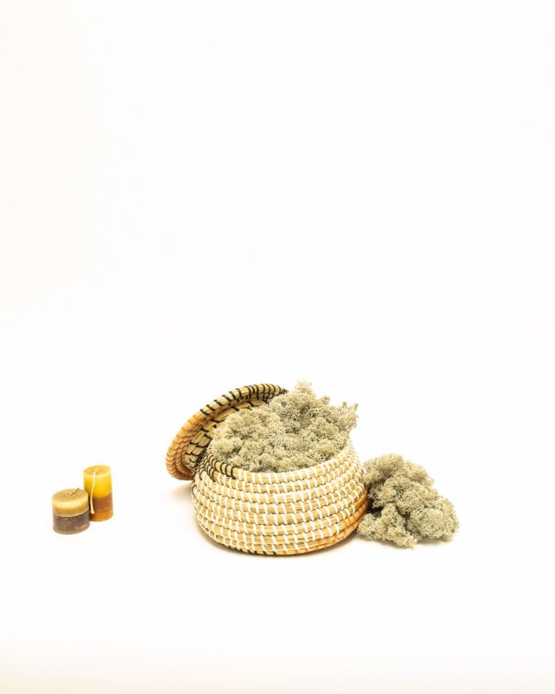 Reindeer Mossa Naturell – Konserverade Mossa, Flora Grossist, konserverade-blommor