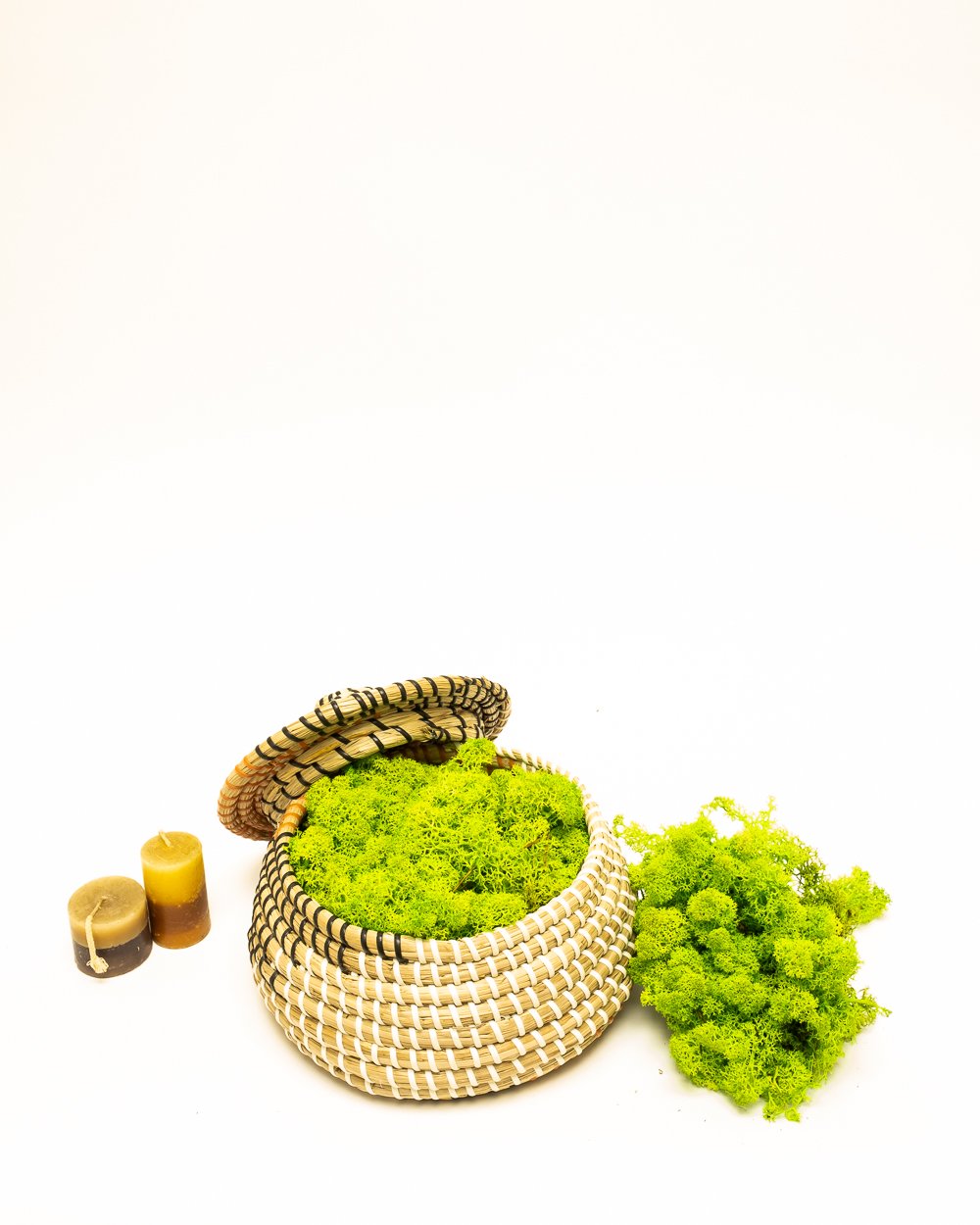 Reindeer Mossa Ljus Grön – Konserverade Mossa, Flora Grossist, konserverade-blommor