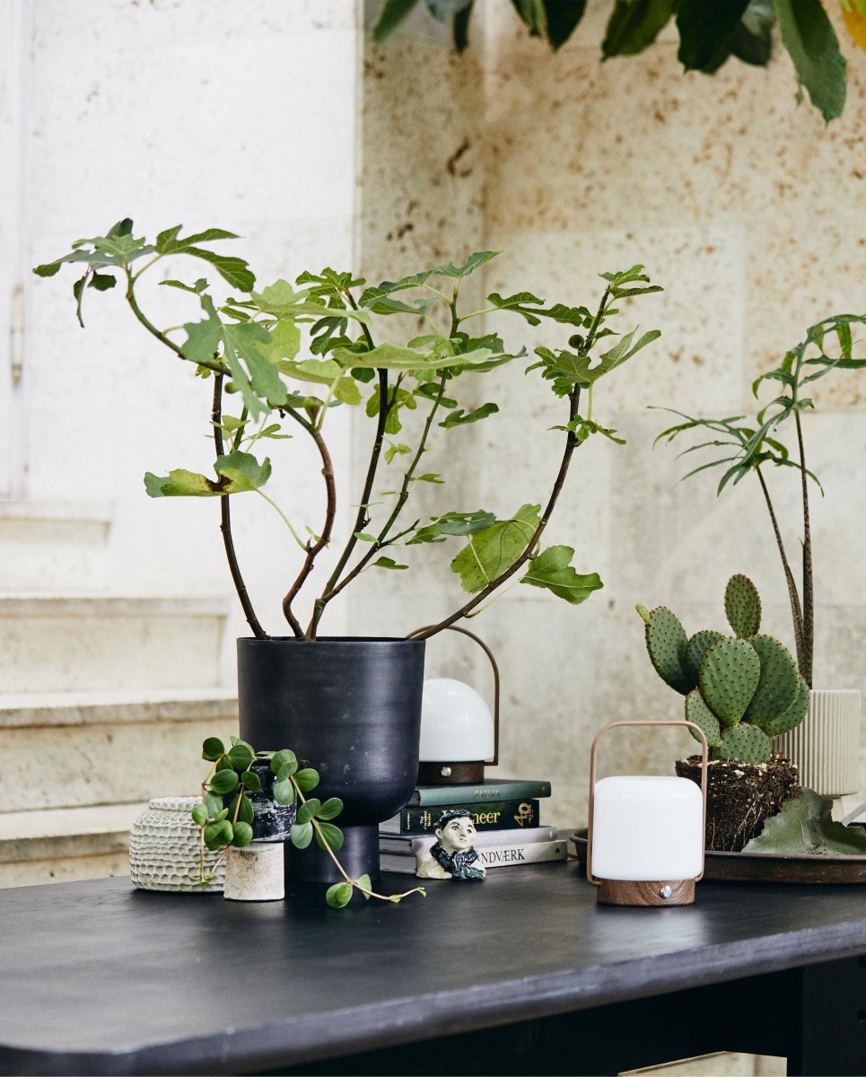 Ivan Hook - Brass Finish, Nordal, hängare & krokar