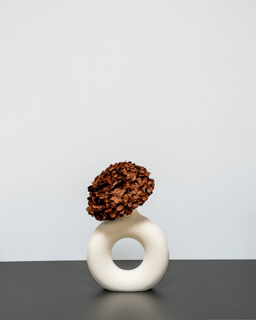 Konserverade Hortensia Premium, Flora Grossist, konserverade-blommor