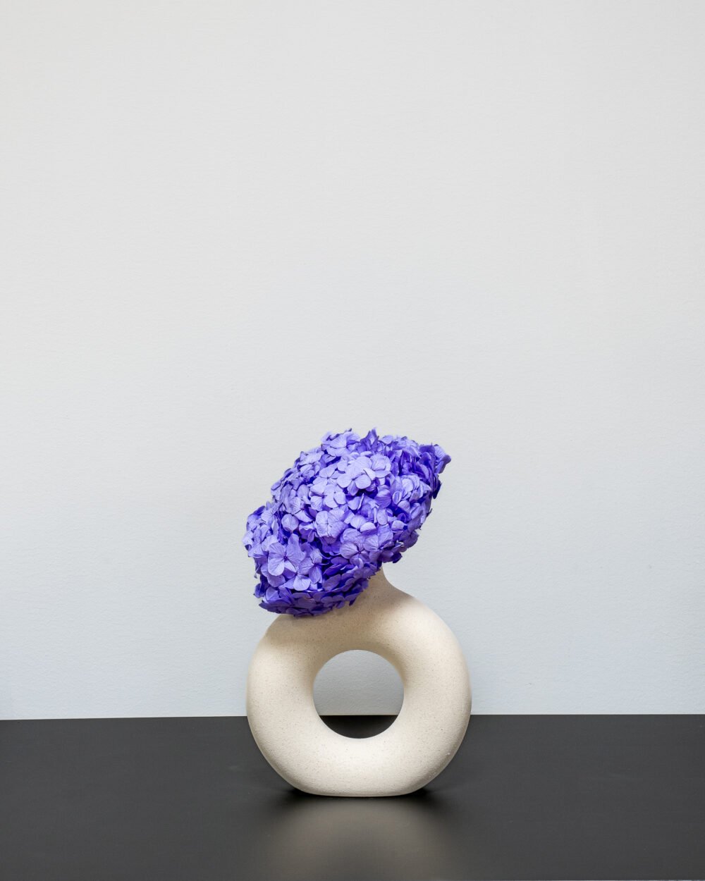 Konserverade Hortensia Premium, Flora Grossist, konserverade-blommor