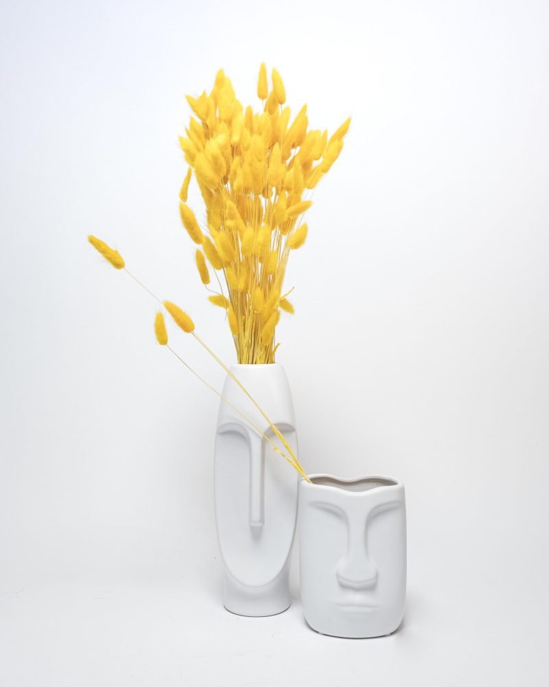 Lagurus Blekt Gul – 100 Gram, Flora Grossist, torkade-blommor