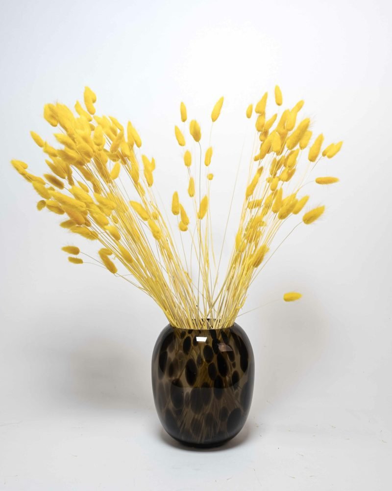 Lagurus Blekt Gul – 100 Gram, Flora Grossist, torkade-blommor