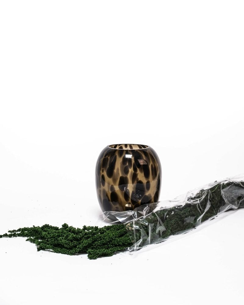 Amaranthus – Grön – Evighetsväxter, Flora Grossist, konserverade-blommor