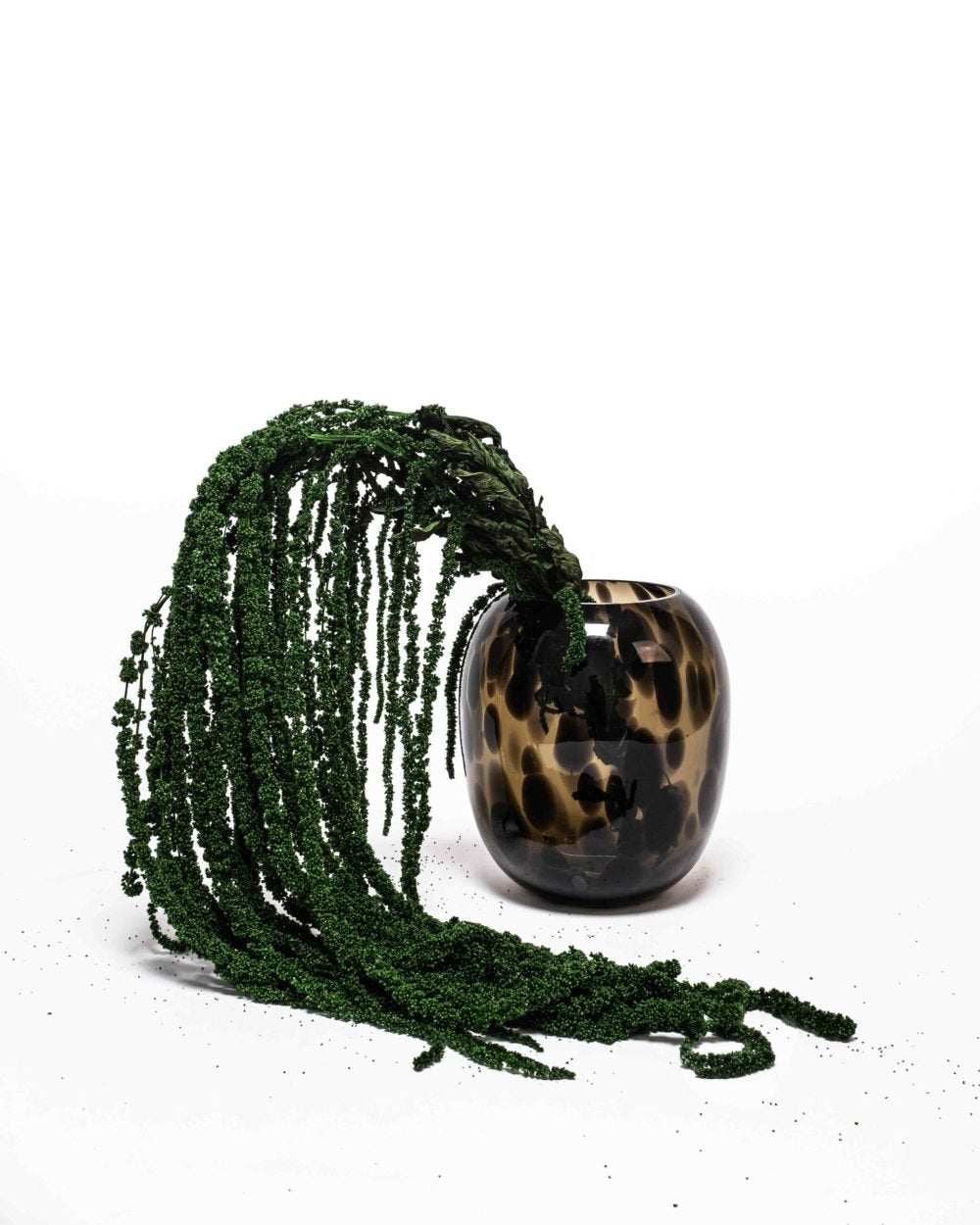 Amaranthus – Grön – Evighetsväxter, Flora Grossist, konserverade-blommor