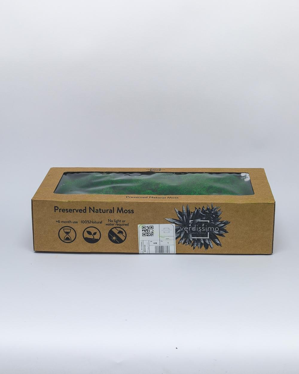 Reindeer Mossa Mörk Grön – Konserverade Mossa, Flora Grossist, konserverade-blommor