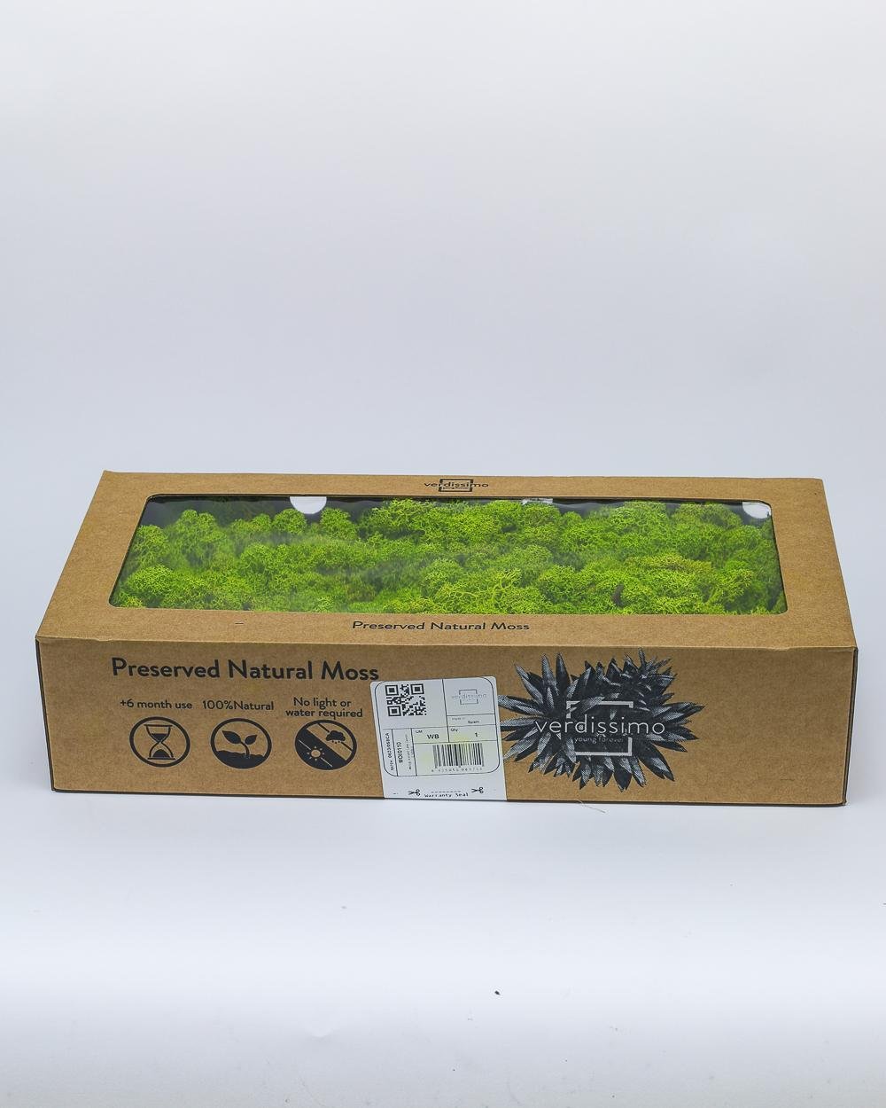 Reindeer Mossa Ljus Grön – Konserverade Mossa, Flora Grossist, konserverade-blommor