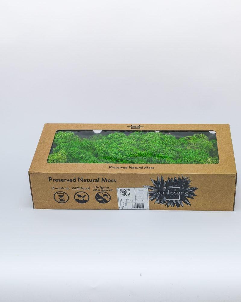 Reindeer Mossa Äpple Grön – Konserverade Mossa, Flora Grossist, konserverade-blommor