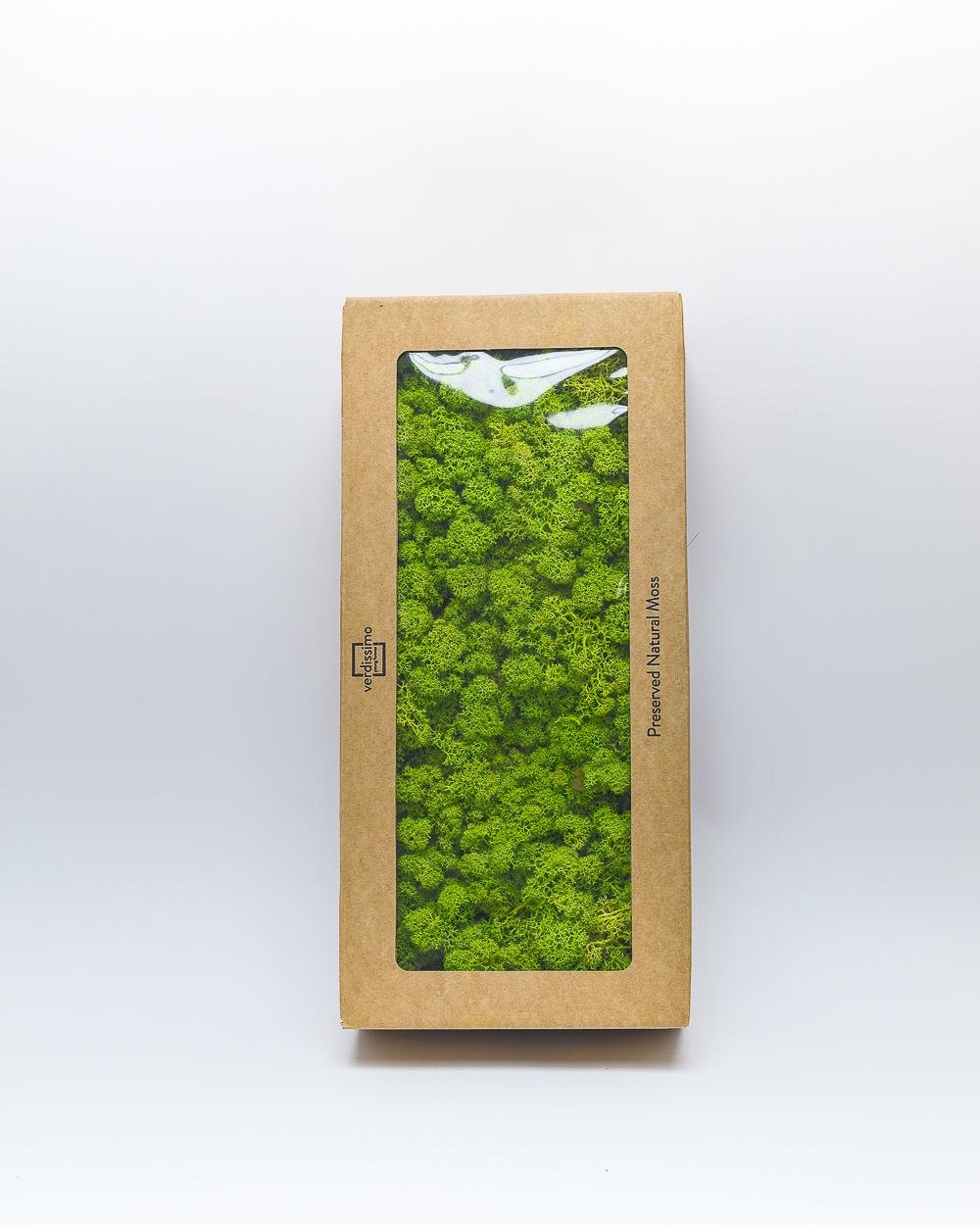 Reindeer Mossa Ljus Grön – Konserverade Mossa, Flora Grossist, konserverade-blommor