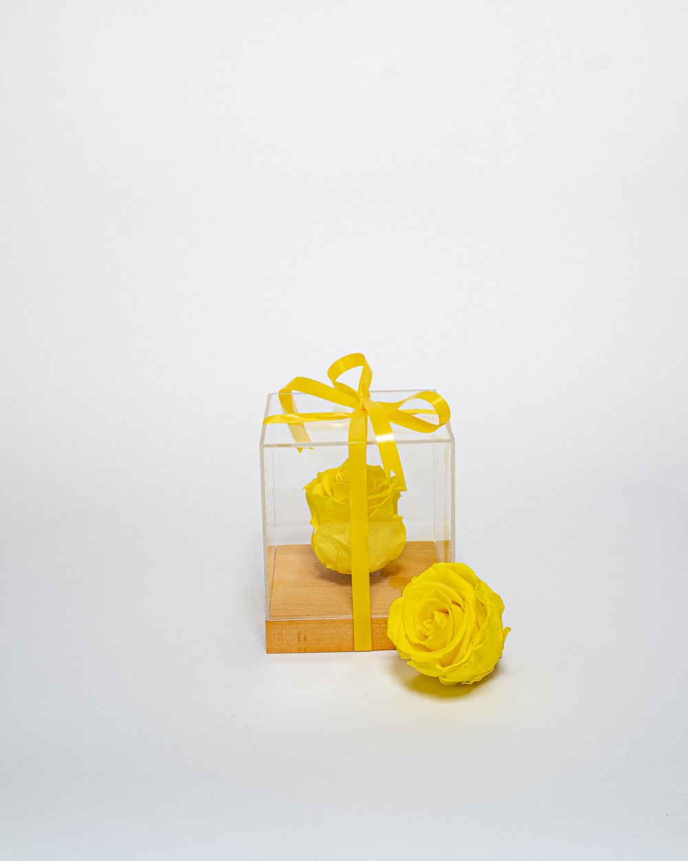 Giftbox – Singel Evighetsros 10×10 Cm, Flora Grossist, konserverade-blommor