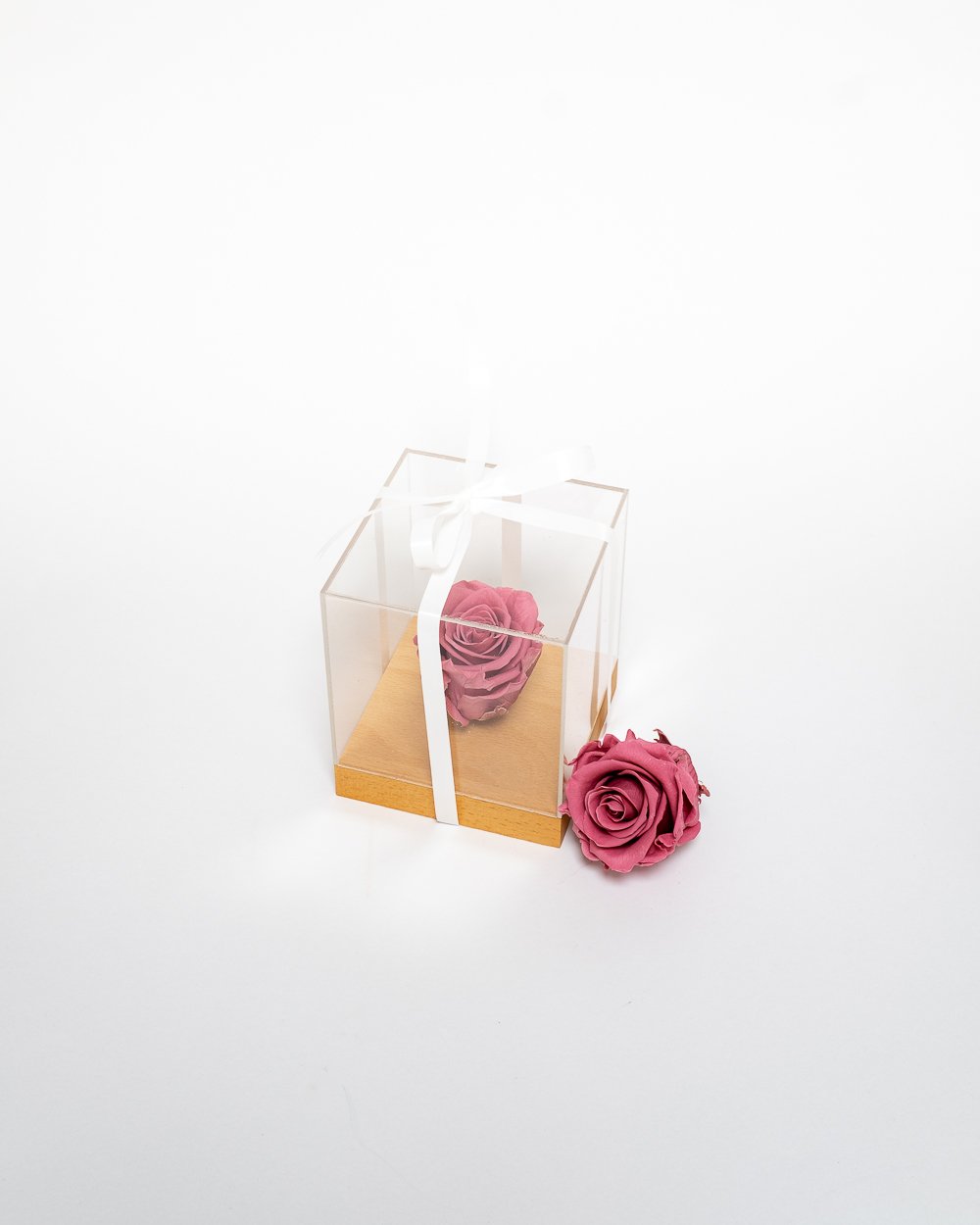 Giftbox – Singel Evighetsros 10×10 Cm, Flora Grossist, konserverade-blommor