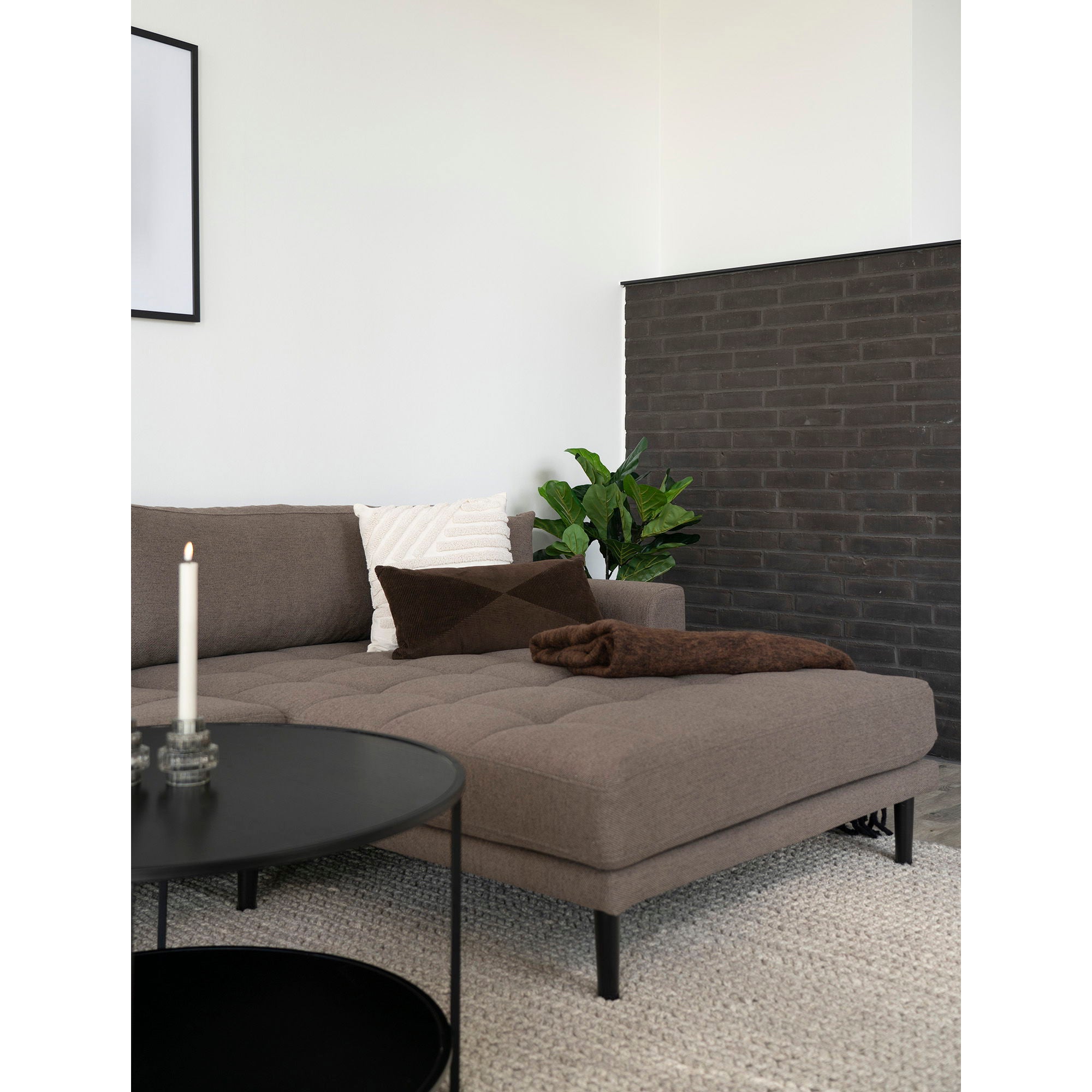 Griffith Kudde, brun