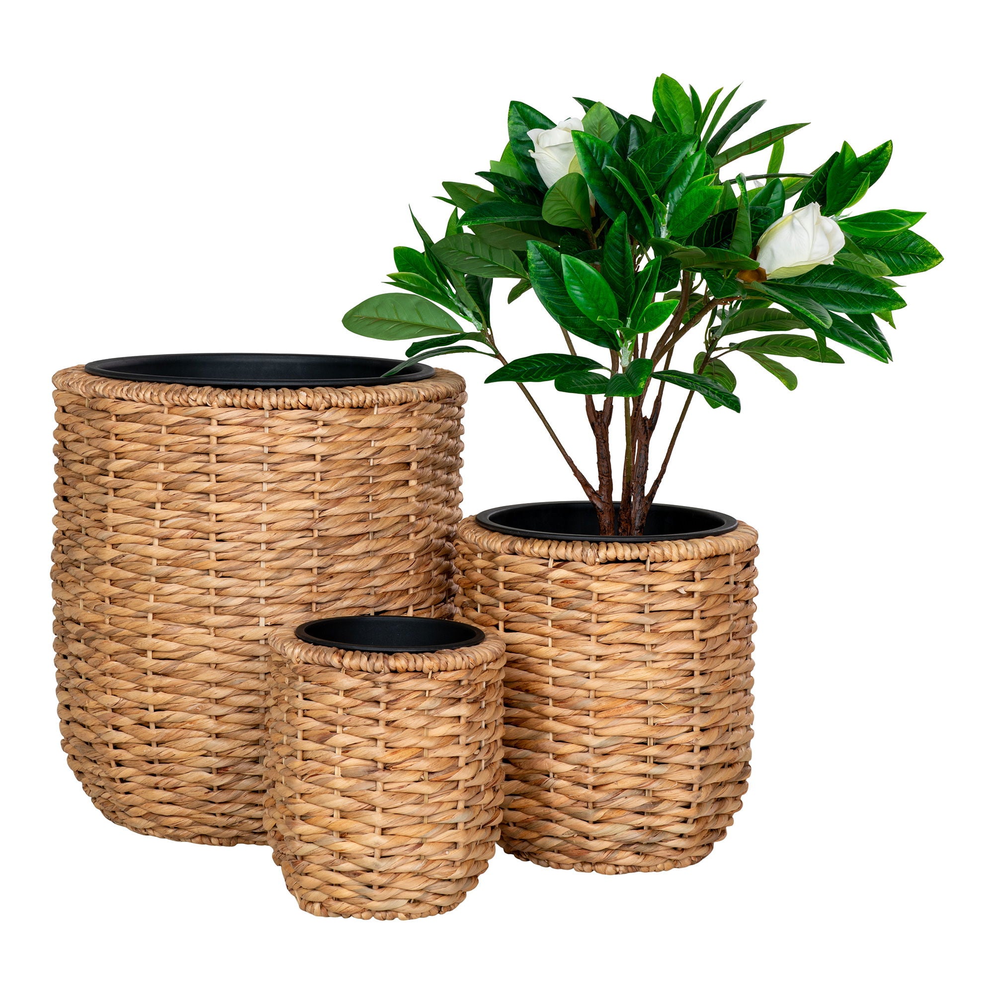 HANOI Blomkruka, natur 3-pack