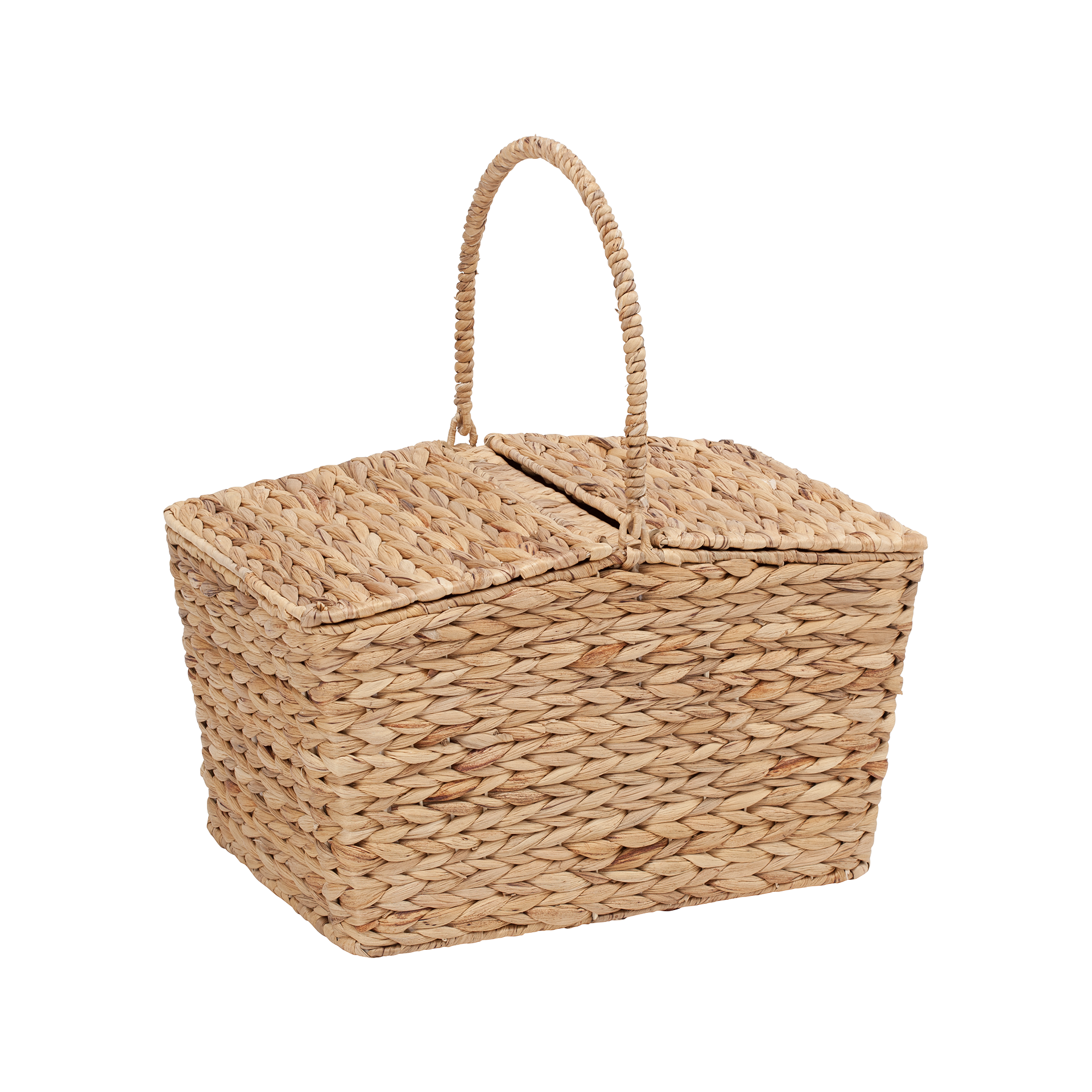 Picnic Basket Lily, Dixie, korgar