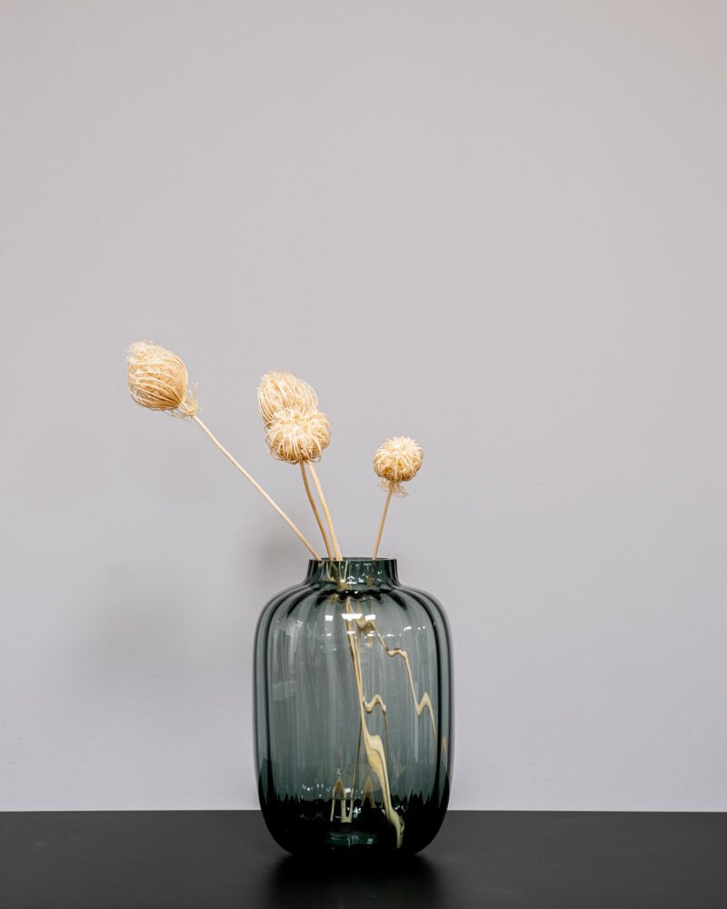 Ammi Majus Vit 3 St., Flora Grossist, torkade-blommor