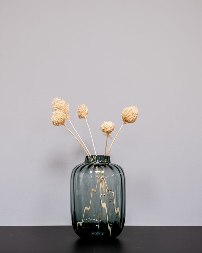 Ammi Majus Vit 3 St., Flora Grossist, torkade-blommor