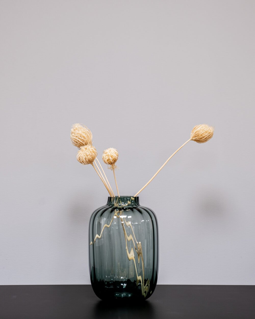 Ammi Majus Vit 3 St., Flora Grossist, torkade-blommor