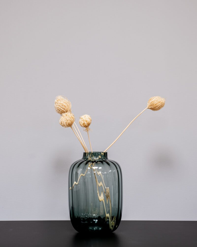 Ammi Majus Vit 3 St., Flora Grossist, torkade-blommor