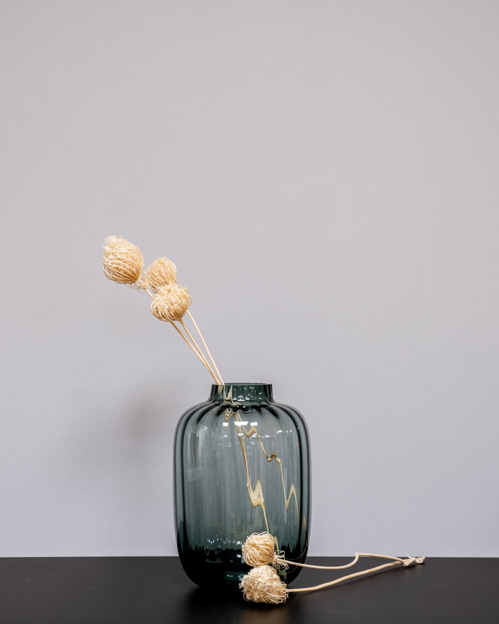 Ammi Majus Vit 3 St., Flora Grossist, torkade-blommor