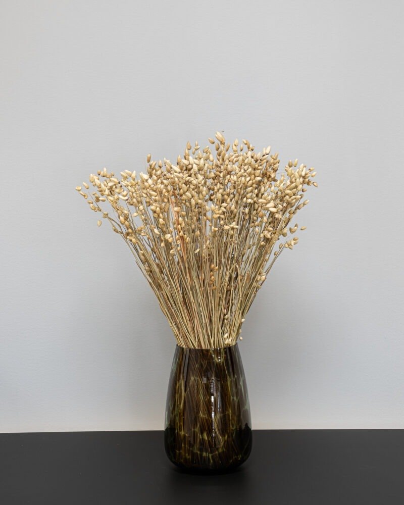 Briza Naturell – Torkade Blommor, Flora Grossist, torkade-blommor