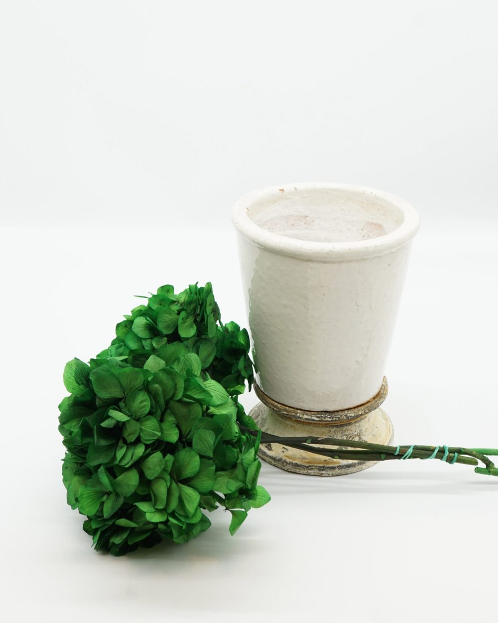 Konserverade Hortensia Grön, Flora Grossist, konserverade-blommor