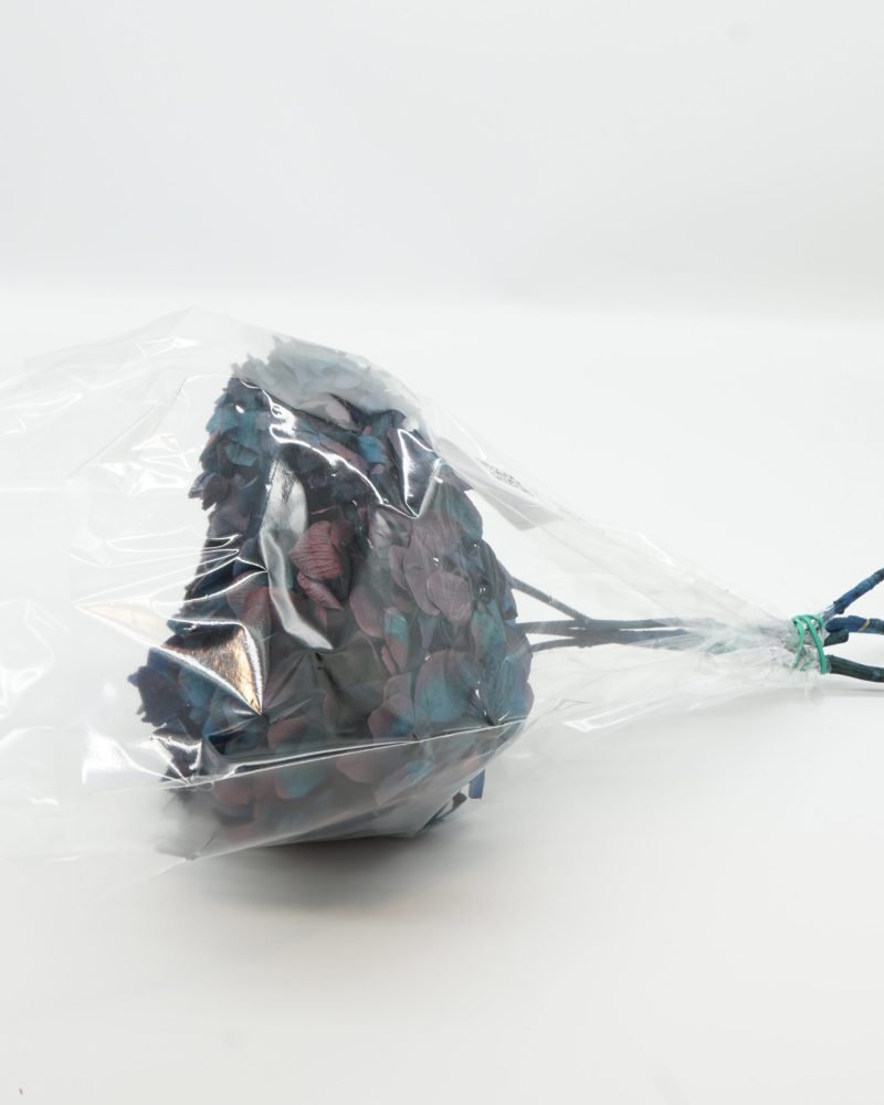 Konserverade Hortensia Mörkblå, Flora Grossist, konserverade-blommor