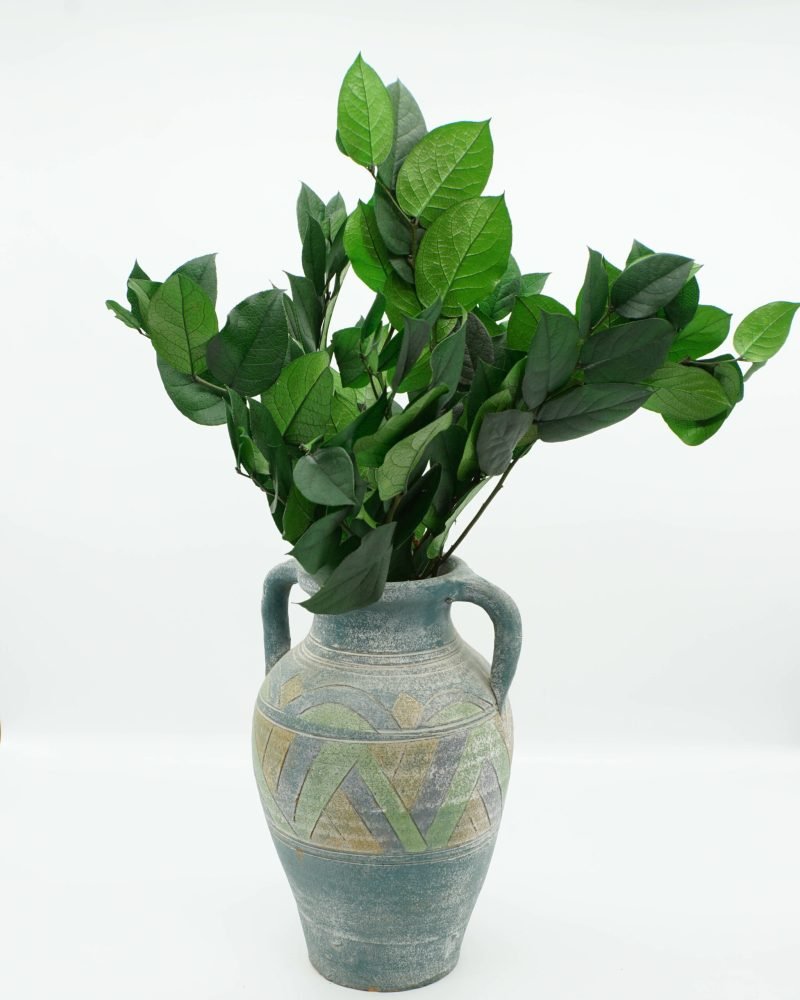 Konserverad Vaktelbär – Salal, Flora Grossist, konserverade-blommor